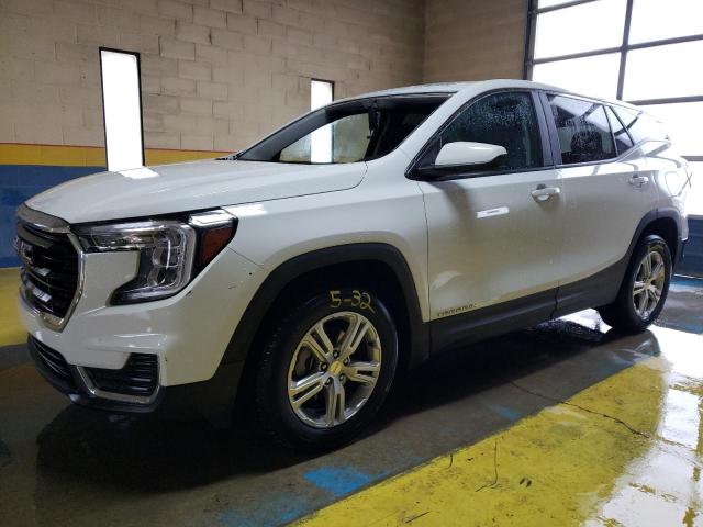 GMC TERRAIN SL 2024 with VIN 3GKALMEGXRL281544 - Photo from auction