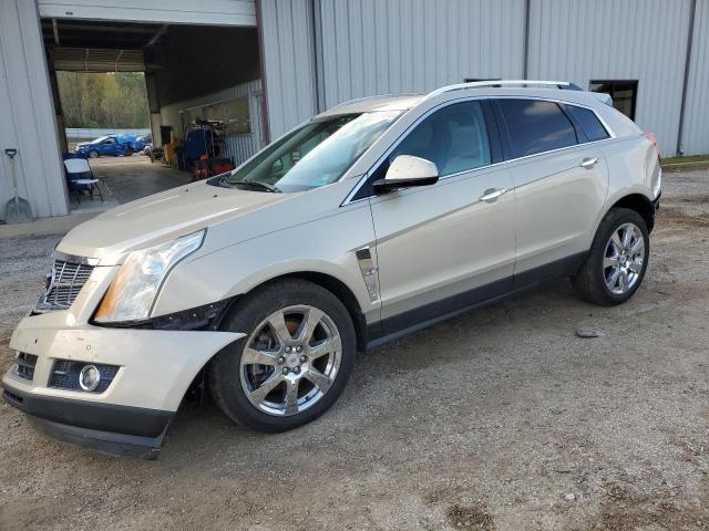CADILLAC SRX PERFOR 2011 with VIN 3GYFNBEY4BS564102 - Photo from auction