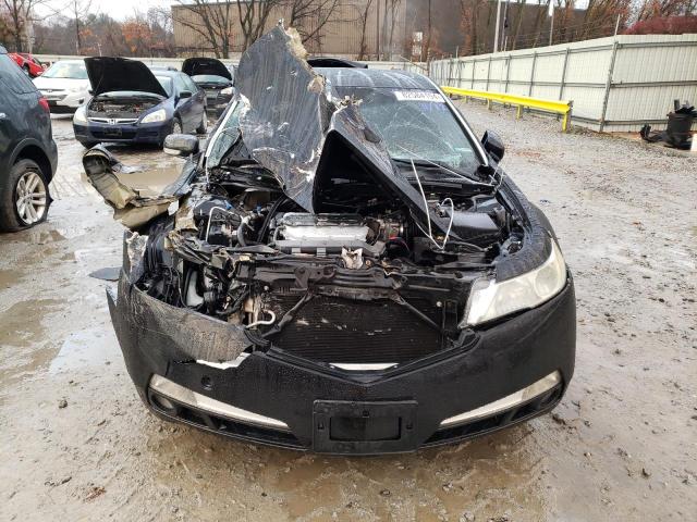 Photo 5 from auction – 2009 ACURA TL with VIN 19UUA86229A008695