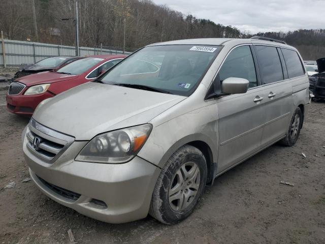 HONDA ODYSSEY EX 2005 with VIN 5FNRL38445B003791 - Photo from auction