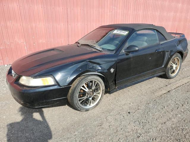 FORD MUSTANG 1999 with VIN 1FAFP4446XF149732 - Photo from auction