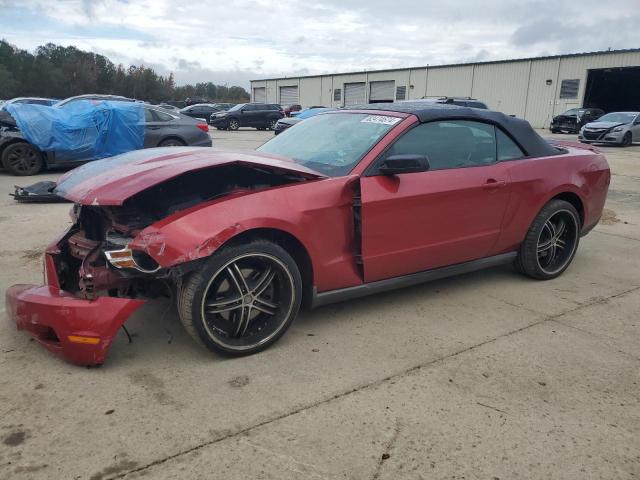 FORD MUSTANG 2011 with VIN 1ZVBP8EM8B5126401 - Photo from auction
