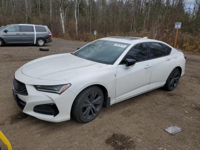 ACURA TLX TECH A 2021 with VIN 19UUB6F54MA802389 - Photo from auction