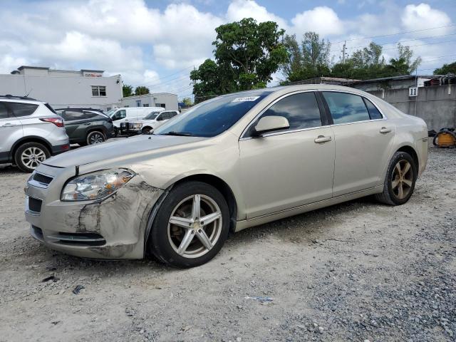 CHEVROLET MALIBU 1LT 2011 with VIN 1G1ZC5E13BF122941 - Photo from auction