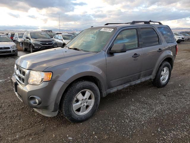 FORD ESCAPE XLT 2011 with VIN 1FMCU9DG2BKA38829 - Photo from auction
