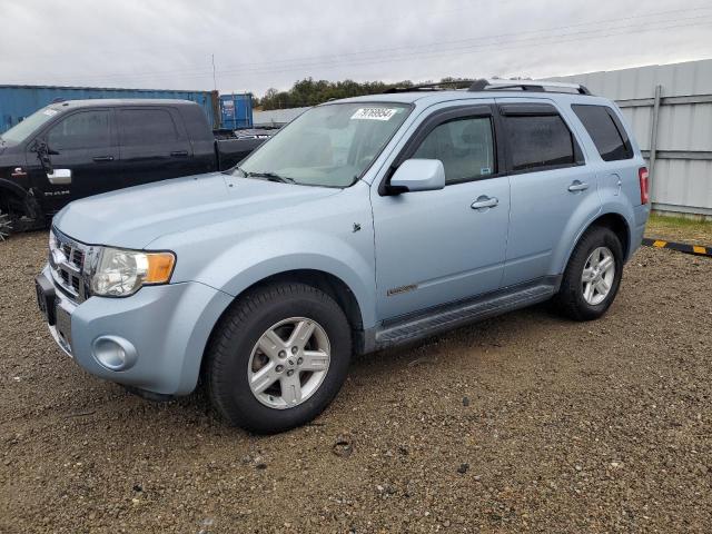 FORD ESCAPE HEV 2008 with VIN 1FMCU59H98KA90798 - Photo from auction