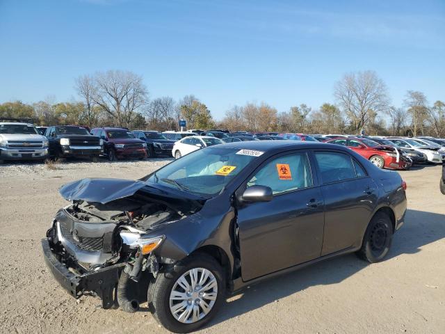 TOYOTA COROLLA BA 2010 with VIN 2T1BU4EE4AC331129 - Photo from auction