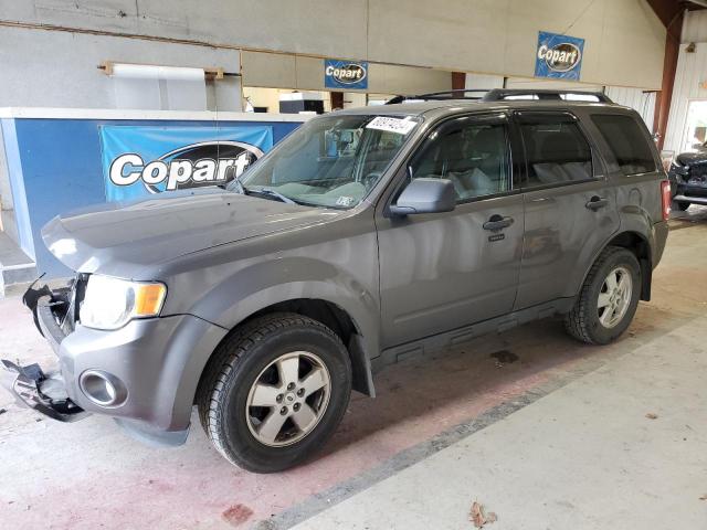 FORD ESCAPE XLT 2011 مع رقم تعريف المركبة 1FMCU9DG1BKB00902 - صورة من المزاد