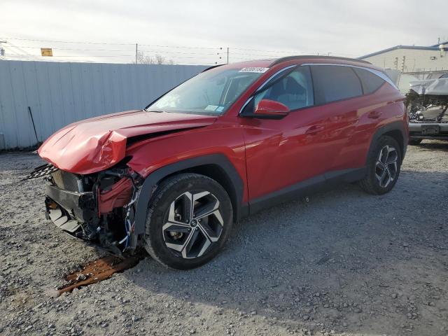 HYUNDAI TUCSON SEL 2023 with VIN 5NMJFCAE1PH254230 - Photo from auction