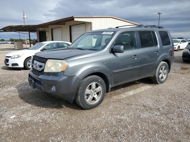 HONDA PILOT EXL 2009 with VIN 5FNYF485X9B008565 - Photo from auction