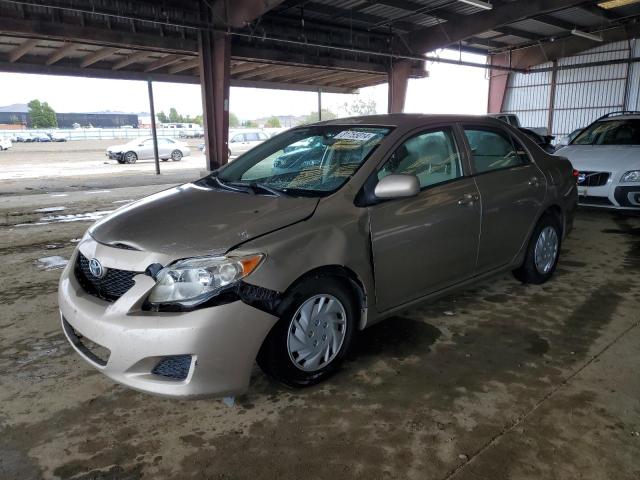 TOYOTA COROLLA BA 2010 with VIN 2T1BU4EE9AC291615 - Photo from auction