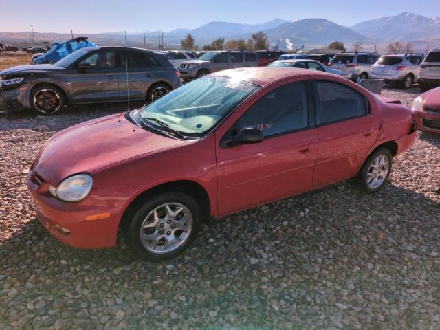DODGE NEON ES 2002 with VIN 1B3ES56C12D591211 - Photo from auction
