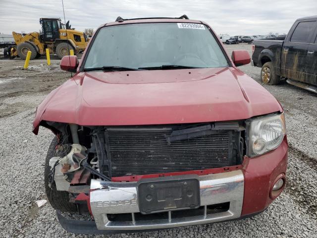 Photo 5 from auction – 2011 FORD ESCAPE LIM with VIN 1FMCU0EG1BKB88781