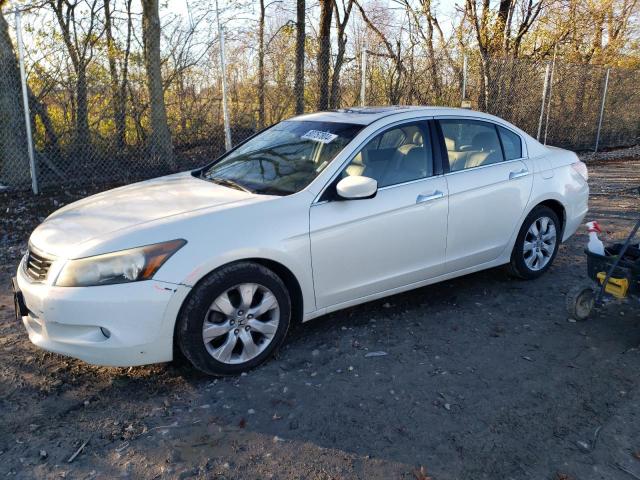 HONDA ACCORD EXL 2010 with VIN 1HGCP3F85AA030177 - Photo from auction