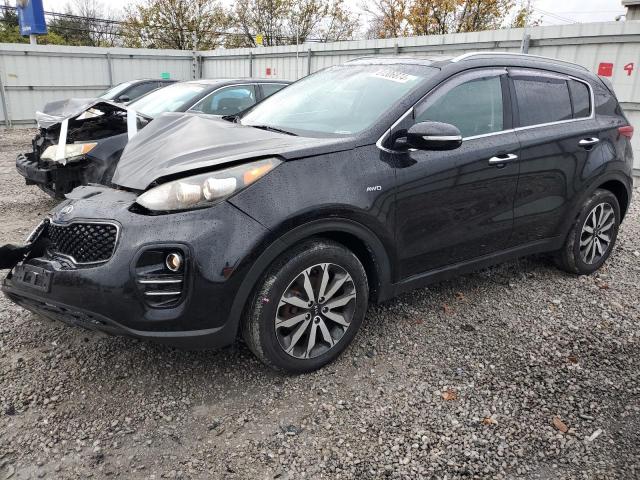 KIA SPORTAGE E 2017 with VIN KNDPNCAC7H7151687 - Photo from auction