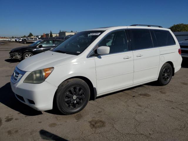 HONDA ODYSSEY EX 2009 with VIN 5FNRL38609B404309 - Photo from auction