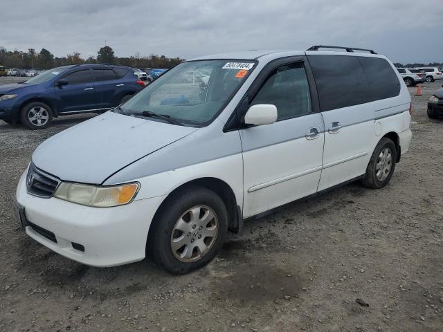 HONDA ODYSSEY 2004 with VIN 5FNRL18884B091699 - Photo from auction