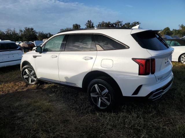 Photo 2 from auction – 2023 KIA SORENTO S with VIN 5XYRL4LC6PG240671