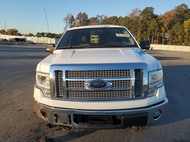 Photo 5 from auction – 2010 FORD F150 SUPER with VIN 1FTFW1EV7AFC01668