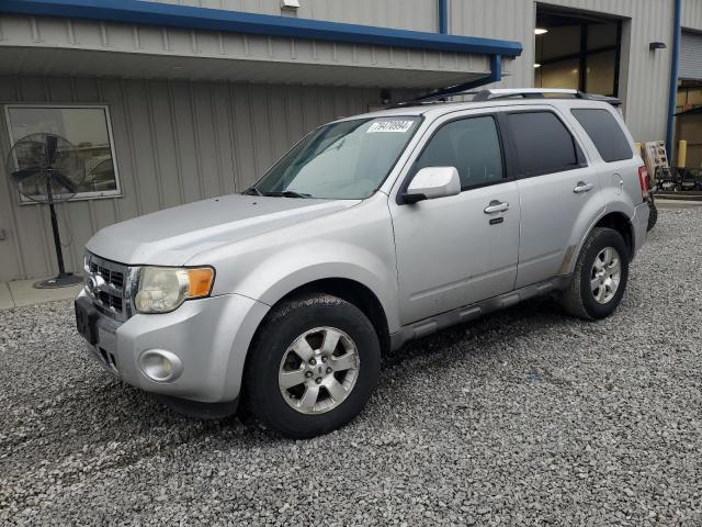 FORD ESCAPE LIM 2010 with VIN 1FMCU0EG4AKB35264 - Photo from auction