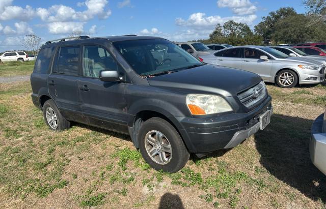 HONDA PILOT EXL 2004 with VIN 2HKYF18624H620907 - Photo from auction