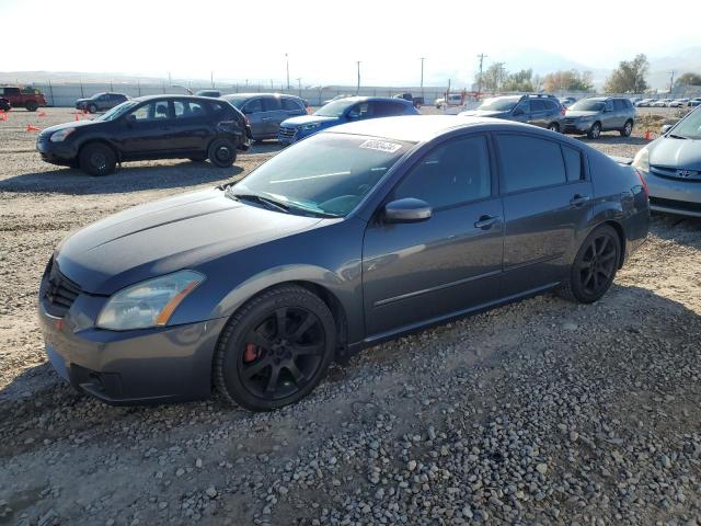 NISSAN MAXIMA SE 2008 with VIN 1N4BA41E58C832070 - Photo from auction