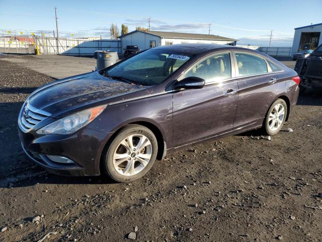 HYUNDAI SONATA SE 2011 with VIN 5NPEC4AC6BH149919 - Photo from auction