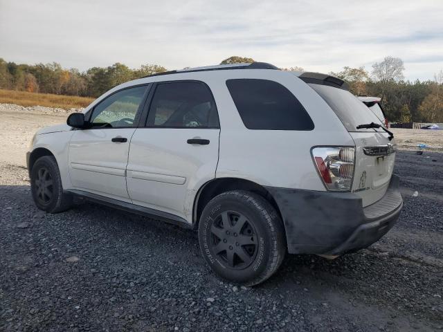 Photo 2 from auction – 2005 CHEVROLET EQUINOX LS with VIN 2CNDL13F056206492