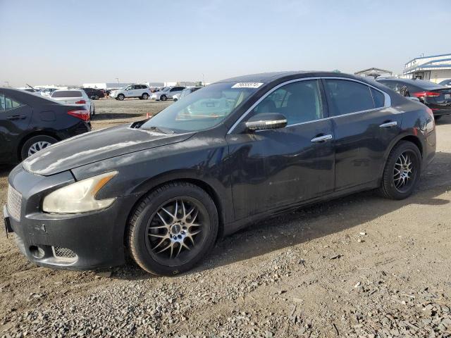 NISSAN MAXIMA S 2010 with VIN 1N4AA5AP8AC831715 - Photo from auction