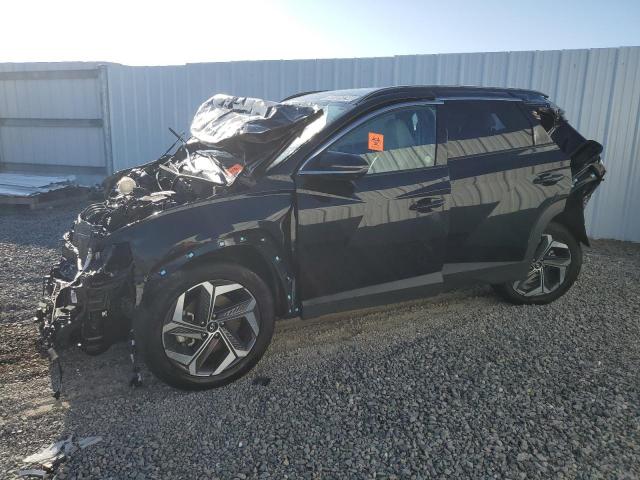 HYUNDAI TUCSON LIM 2023 with VIN 5NMJECAE2PH183218 - Photo from auction