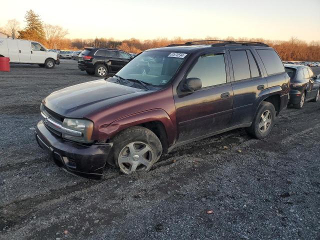 CHEVROLET TRAILBLAZE 2008 with VIN 1GNDT13S882232848 - Photo from auction