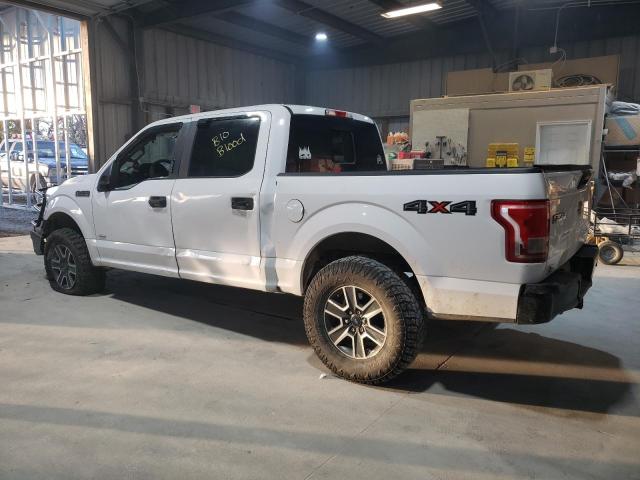 Photo 2 from auction – 2016 FORD F150 SUPER with VIN 1FTEW1EP2GKF03687
