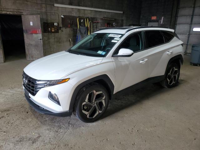 HYUNDAI TUCSON SEL 2022 with VIN 5NMJFCAEXNH134973 - Photo from auction