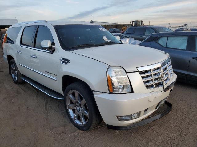 Photo 4 from auction – 2010 CADILLAC ESCALADE E with VIN 1GYUKHEF8AR102189