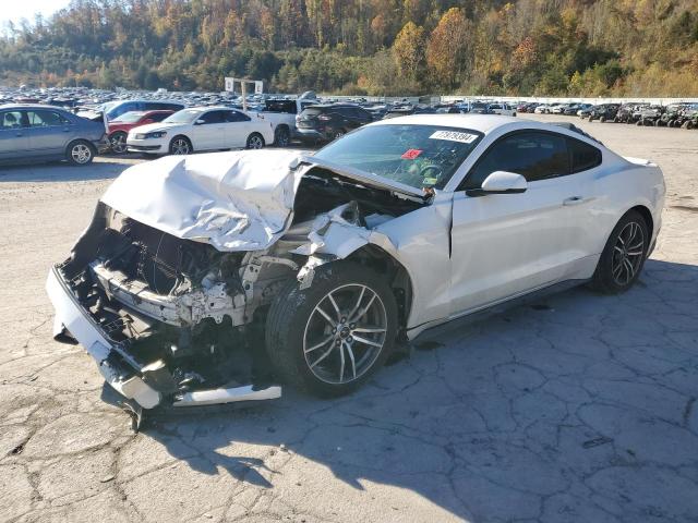 FORD MUSTANG 2017 with VIN 1FA6P8TH5H5338892 - Photo from auction