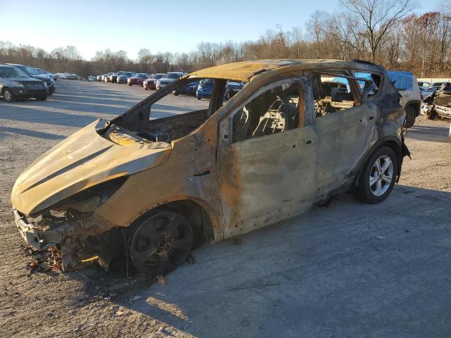 FORD ESCAPE SE 2014 with VIN 1FMCU9GX5EUA98981 - Photo from auction