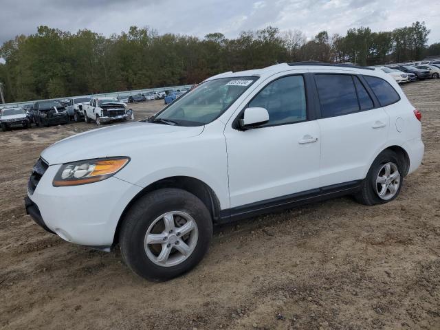 HYUNDAI SANTA FE G 2007 with VIN 5NMSG13D07H085523 - Photo from auction
