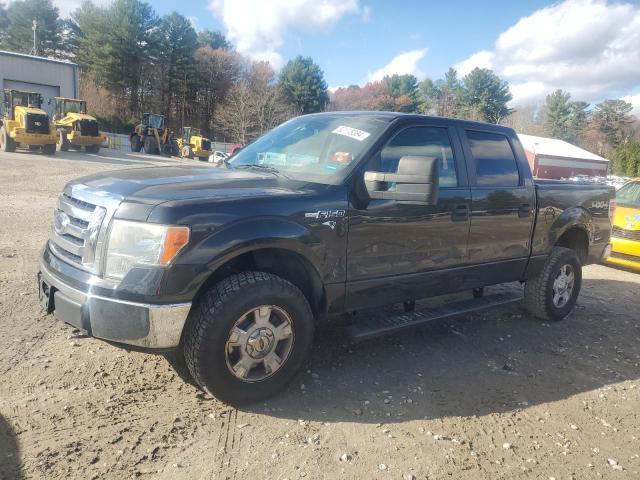 FORD F150 SUPER 2010 with VIN 1FTEW1E86AFC53637 - Photo from auction