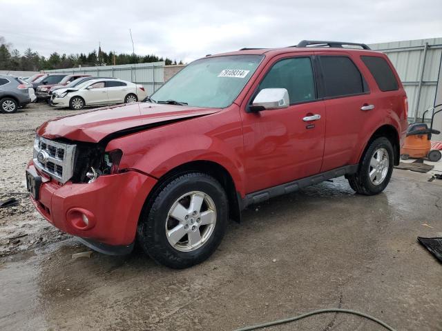 FORD ESCAPE XLT 2011 with VIN 1FMCU0DG7BKA53712 - Photo from auction