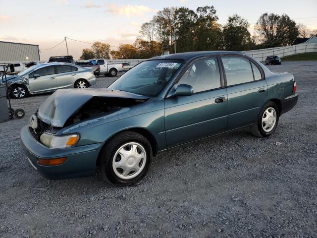 TOYOTA COROLLA LE 1995 with VIN 2T1AE09B9SC120706 - Photo from auction