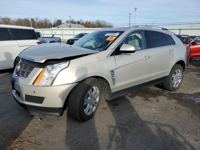 CADILLAC SRX LUXURY 2011 with VIN 3GYFNDEY6BS528892 - Photo from auction