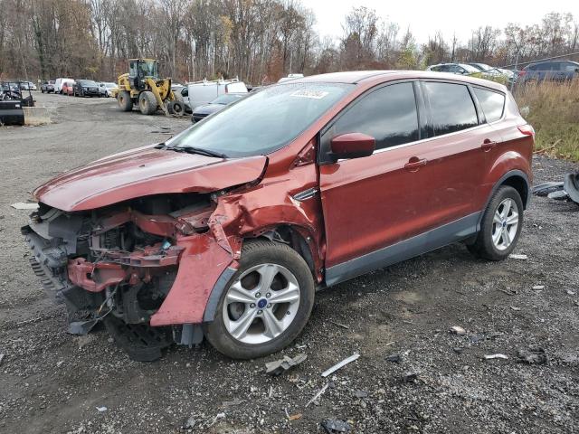 Photo 1 from auction – 2015 FORD ESCAPE SE with VIN 1FMCU0G70FUA22551