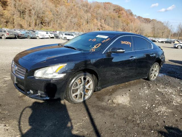 NISSAN MAXIMA S 2011 with VIN 1N4AA5AP3BC806836 - Photo from auction