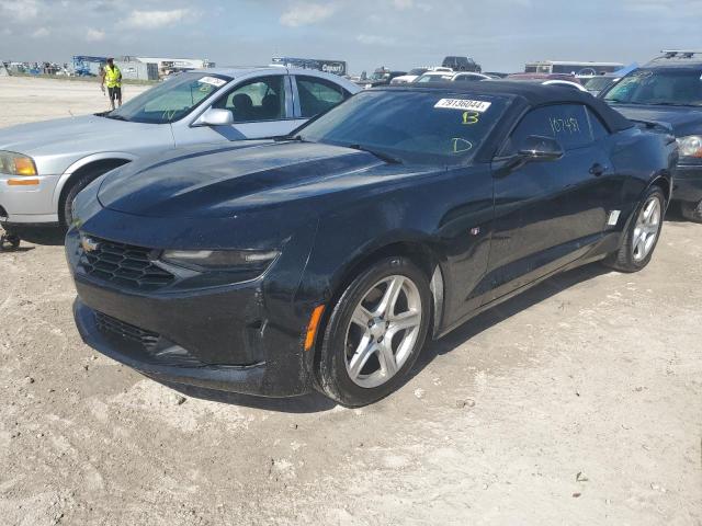 CHEVROLET CAMARO LS 2019 with VIN 1G1FB3DS0K0123651 - Photo from auction