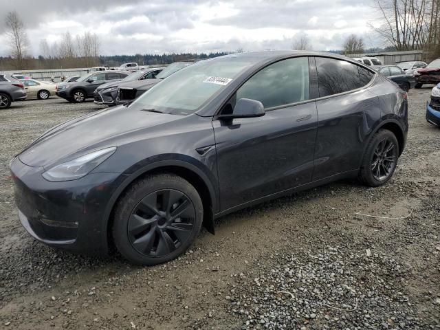 TESLA MODEL Y 2024 with VIN 7SAYGDEE5RF199560 - Photo from auction