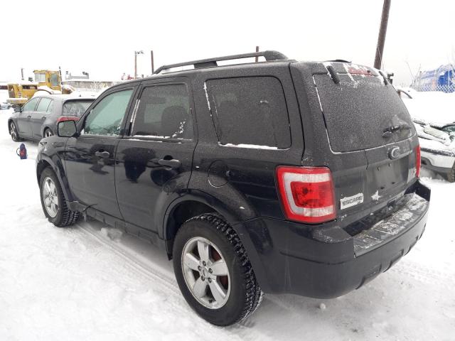 Photo 2 from auction – 2011 FORD ESCAPE XLT with VIN 1FMCU0DG0BKB95741