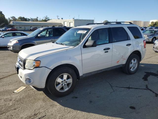 FORD ESCAPE XLT 2011 with VIN 1FMCU0D71BKA08331 - Photo from auction