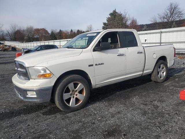 DODGE RAM 1500 2009 with VIN 1D3HV18TX9S777920 - Photo from auction