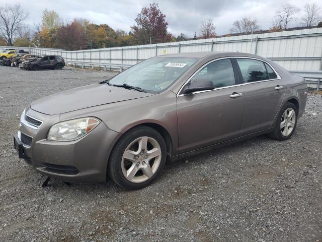 CHEVROLET MALIBU LS 2011 with VIN 1G1ZB5E15BF171755 - Photo from auction