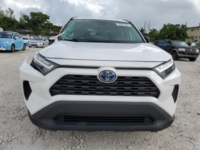 Photo 5 from auction – 2023 TOYOTA RAV4 LE with VIN 4T3LWRFV1PU092857
